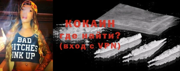 ешки Арсеньев