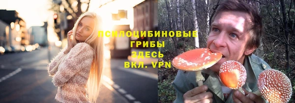 прущая мука Армянск